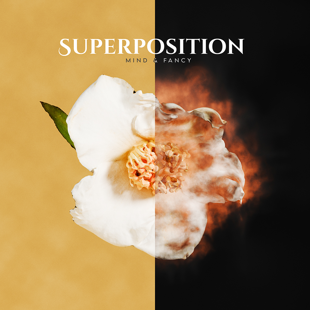Pre Save Superpostition